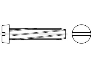 Šroub závitořezný drážka DIN 7513B M4x10 pozink - N2