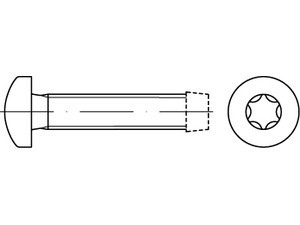 Šroub závitotvorný TORX DIN 7500C M5x12 nerez A2 - N2