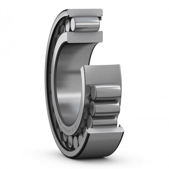 SKF C4910 V toroidní ložisko CARB - N2