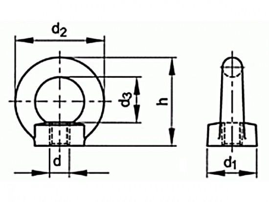 Matice závěsná DIN 582 M16 C15 CE - N2