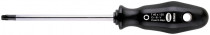 Šroubovák TORX TX6 x 50 mm PROFI, NAREX 808806 - N1