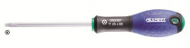Šroubovák TORX TT25 x 100 mm s otvorem, EXPERT E165397 - N1