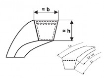 Řemen víceklínový 2 PJ 786 (309-J) optibelt RBK - N1