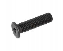 Šroub válcová extra nízká hlava- inbus M10x16-10.9 černěno - N1