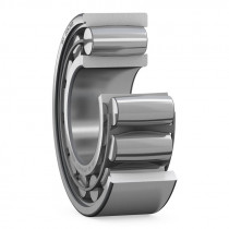 SKF C2220 K/C4 toroidní ložisko CARB - N1