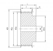 Řemenice 30 8M 20 optibelt ZRS s předvrtanou dírou - N1
