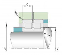 INA SL024960 ložisko - N1