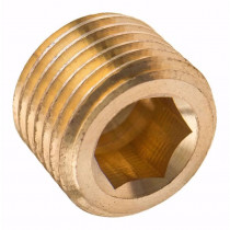Zátka inbus DIN 906 M22x1,50 mosaz - N1
