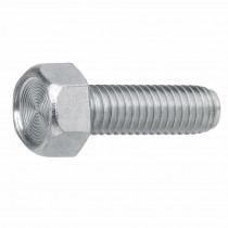 Šroub závitotvorný šestihran DIN 7500D M6x12 pozink - N1